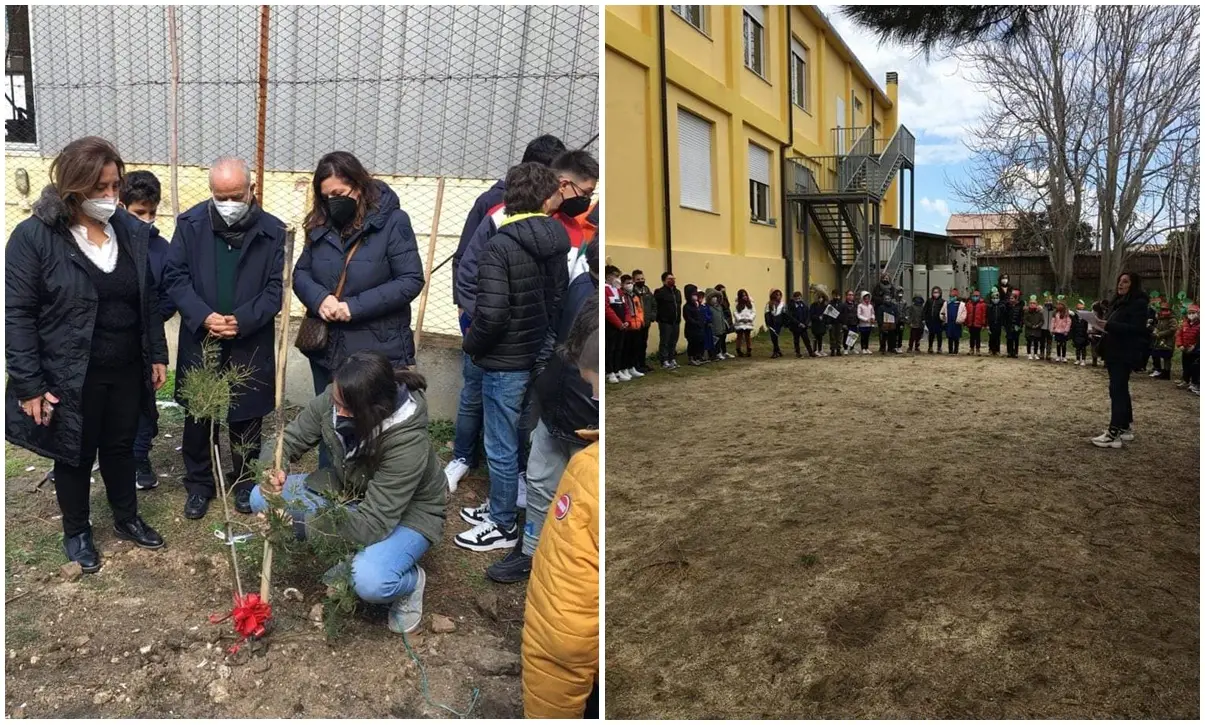 Festa della donna a Briatico, piantato un albero di mimosa nel cortile della scuola