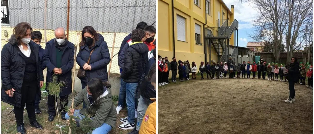 Festa della donna a Briatico, piantato un albero di mimosa nel cortile della scuola