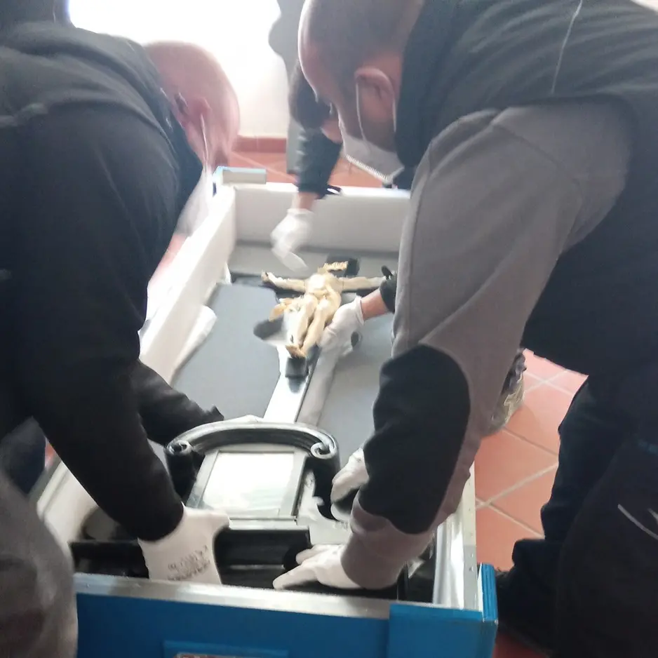 Mileto, il Crocifisso dell’Algardi esposto a Parma alla mostra sui Farnese