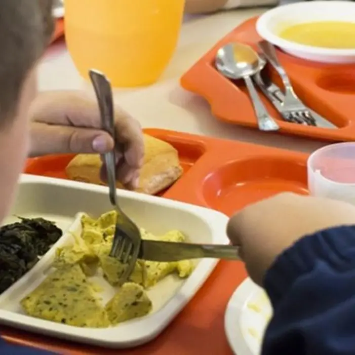 Nelle scuole di Ricadi mensa gratuita per gli alunni profughi dall'Ucraina