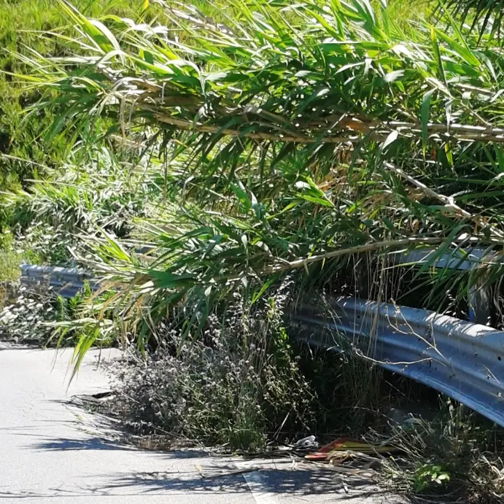 Strade dissestate nel Vibonese, la denuncia: «Che fine hanno fatto i lavori sulla ex 522?»