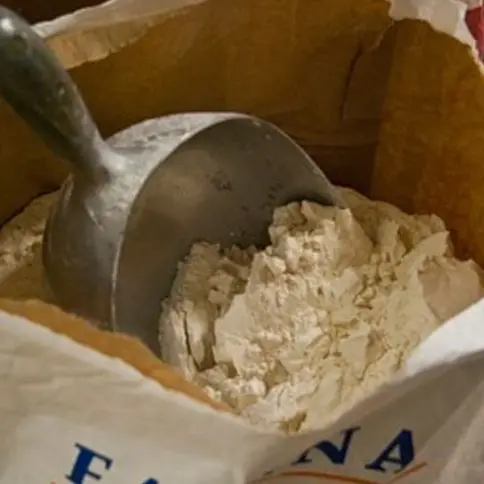 Il grano calabrese non basta e nel Vibonese è assalto al mulino per la farina - Video