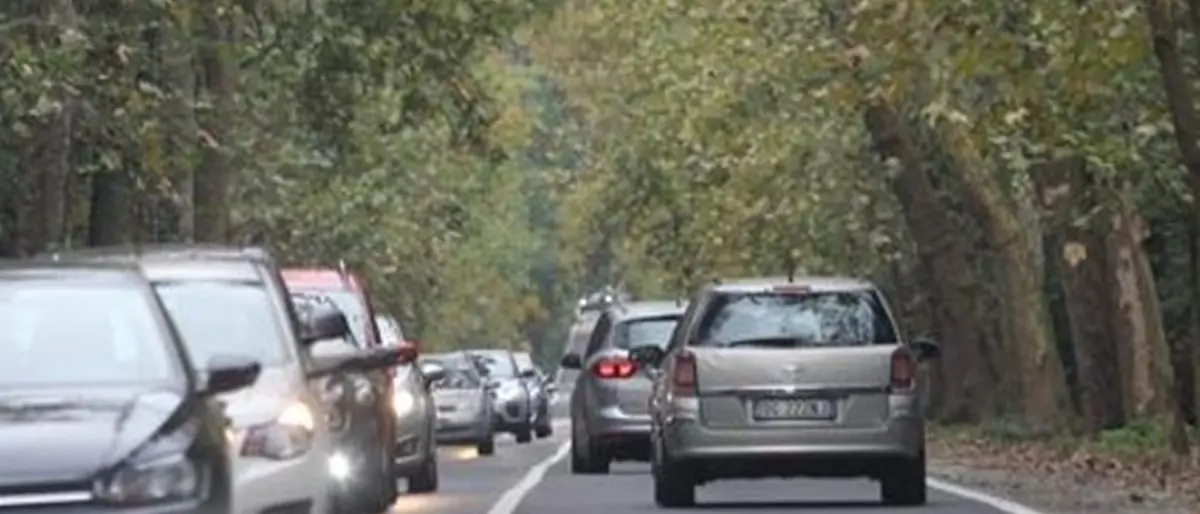 Comune di Vibo, al via i controlli elettronici sulle auto: ecco le strade interessate