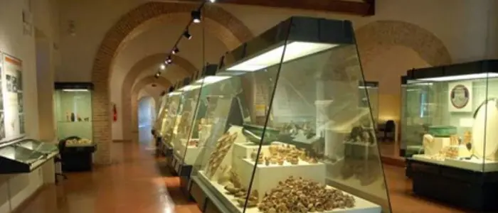 Domenica al museo, il 5 febbraio ingressi gratuiti in due siti del Vibonese