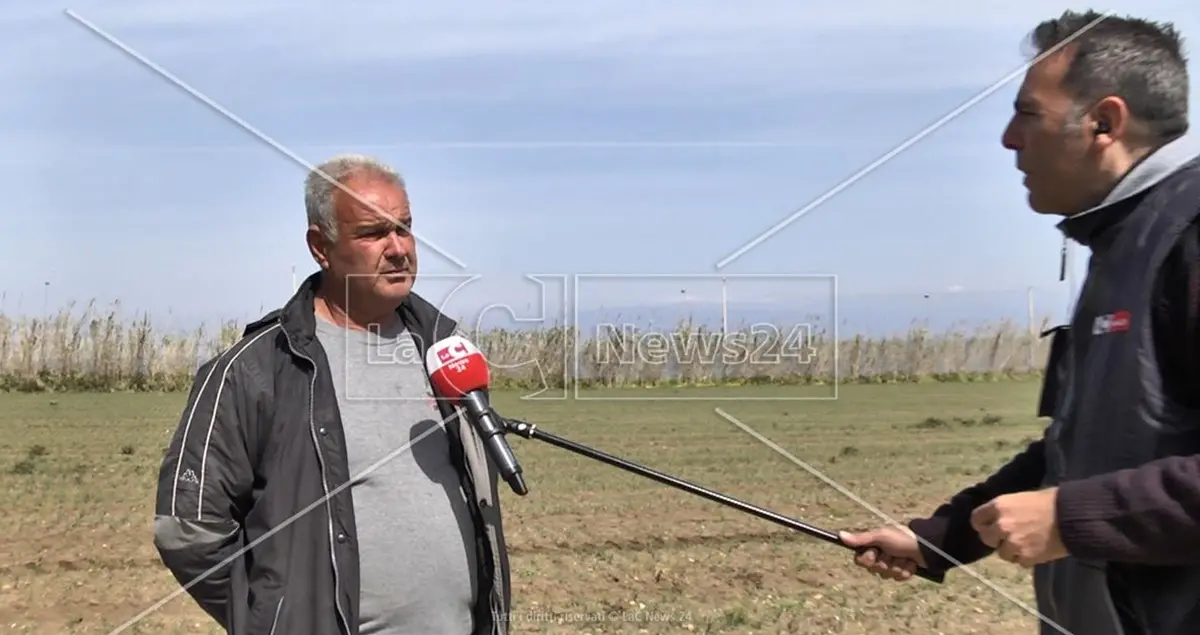 Imprenditore del Vibonese: «Non troviamo operai, colpa del reddito di cittadinanza»