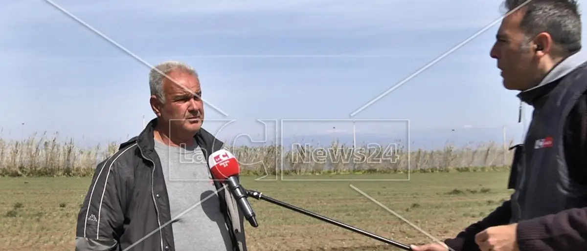 Imprenditore del Vibonese: «Non troviamo operai, colpa del reddito di cittadinanza»