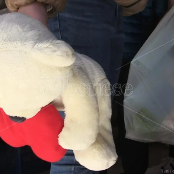 Vibo, pacchi ai profughi ucraini e agli studenti fuorisede. La Croce rossa: «Aiutiamo tutti» - Video