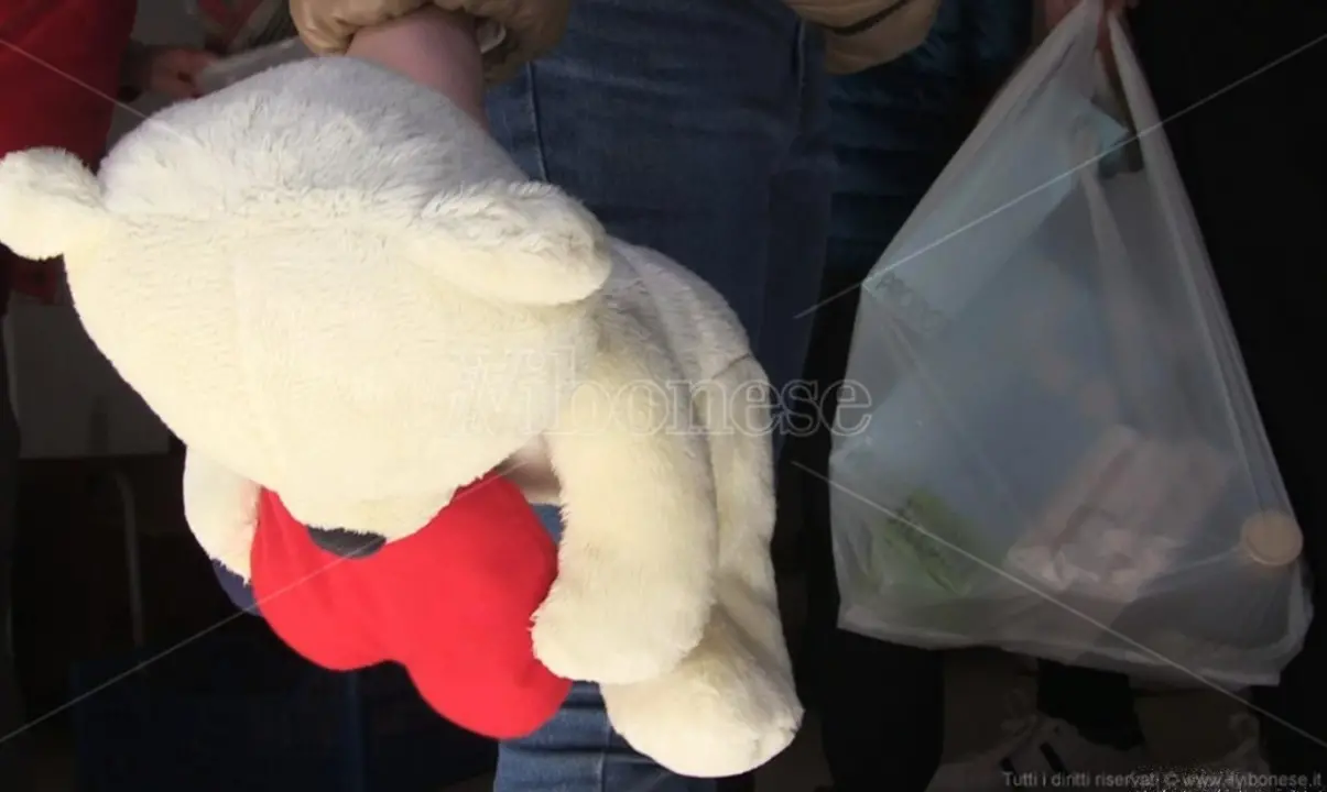Vibo, pacchi ai profughi ucraini e agli studenti fuorisede. La Croce rossa: «Aiutiamo tutti» - Video