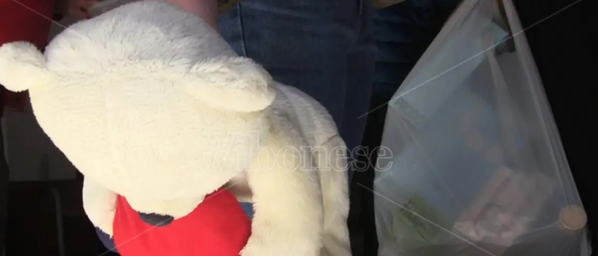 Vibo, pacchi ai profughi ucraini e agli studenti fuorisede. La Croce rossa: «Aiutiamo tutti» - Video