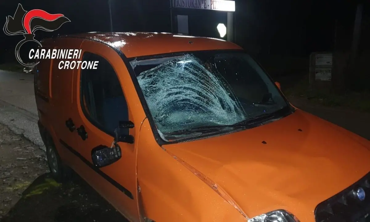 Bimba ucraina investita e uccisa, arrestato il 18enne alla guida: l'incidente sarebbe stato intenzionale