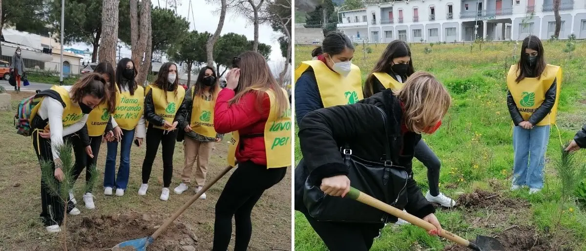 La Pineta di Tropea rinasce con la messa a dimora di altre 100 piante