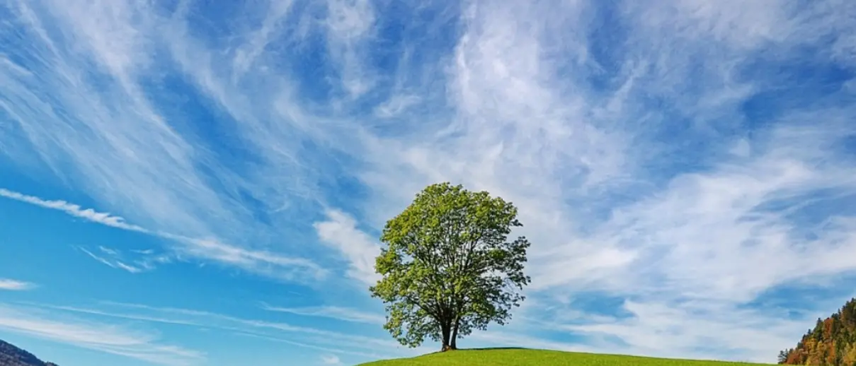 Radioattività ambientale, nessuna anomalia nell’aria: i dati Arpacal raccolti anche nel Vibonese