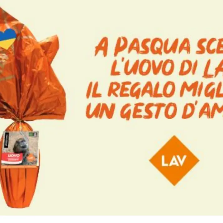 Lav in piazza anche a Vibo per dire no alla vendita degli animali esotici