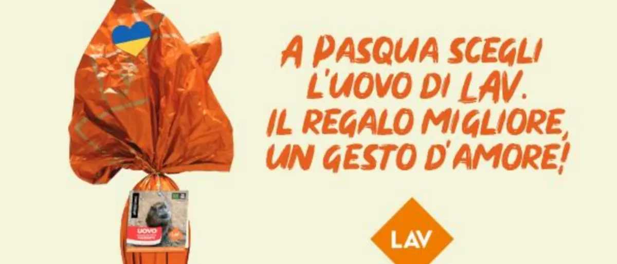 Lav in piazza anche a Vibo per dire no alla vendita degli animali esotici