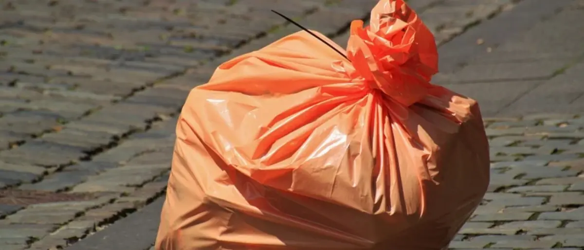 Abbandono rifiuti, a Briatico arrivano le guardie eco-zoofile di Serra San Bruno