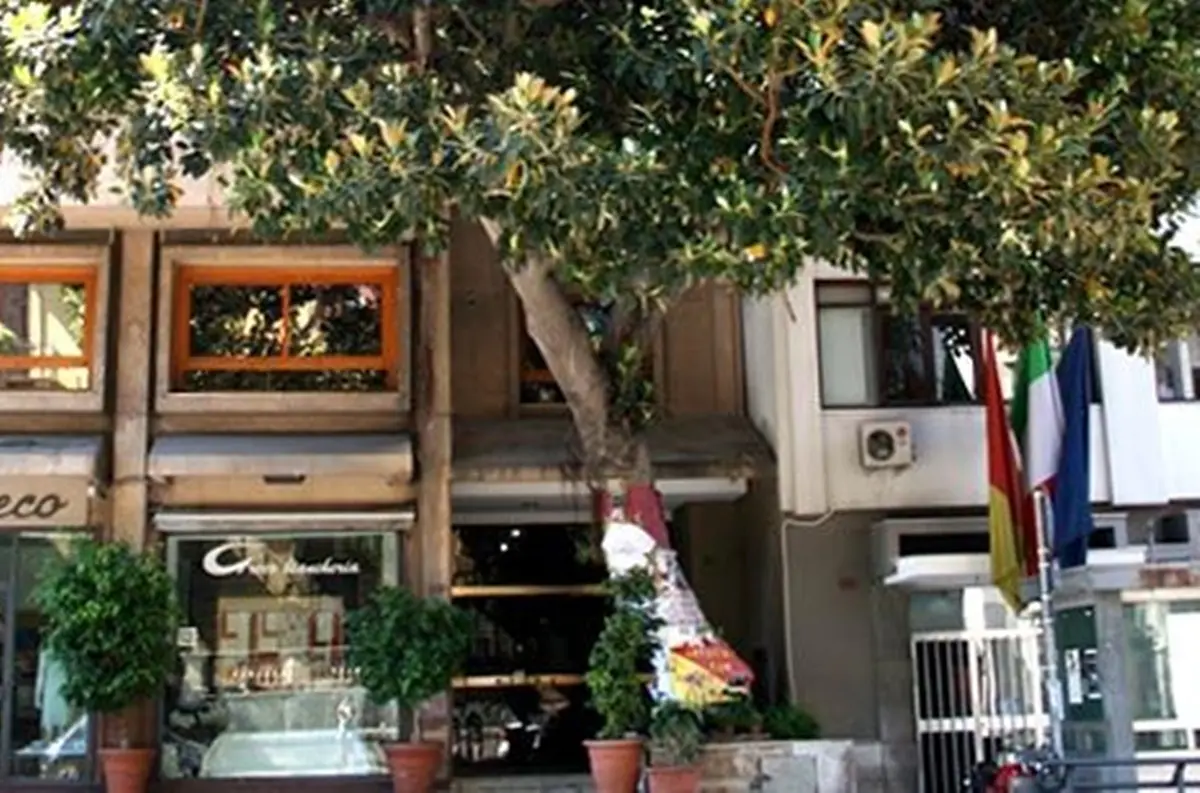 Vibo Valentia, all’Istituto \"Gagliardi\" l’albero in memoria di Giovanni Falcone