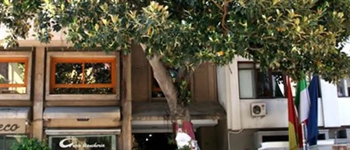 Vibo Valentia, all’Istituto \"Gagliardi\" l’albero in memoria di Giovanni Falcone