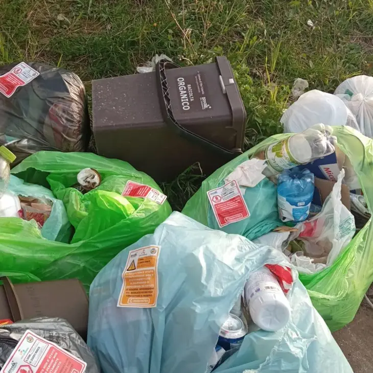 Vibo Marina, controlli sui rifiuti indifferenziati: \"scovati\" diversi trasgressori - Foto