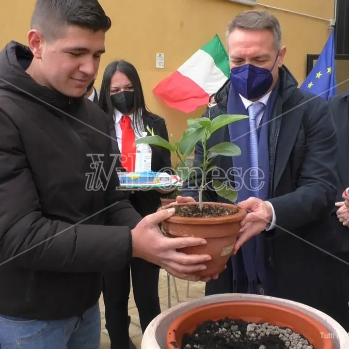 Vibo, al Gagliardi piantato ficus in memoria di Falcone: la talea arriva dalla casa del magistrato