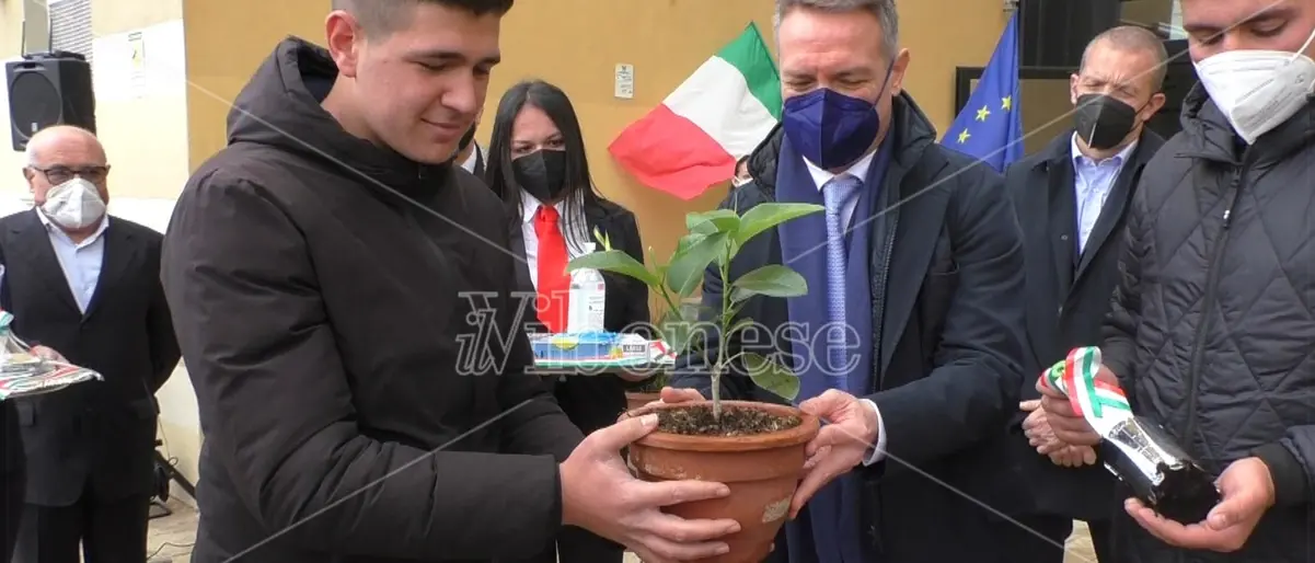Vibo, al Gagliardi piantato ficus in memoria di Falcone: la talea arriva dalla casa del magistrato