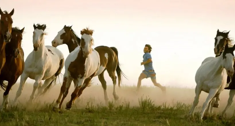 LA RIFLESSIONE | “La felicità è autentica solo se condivisa”