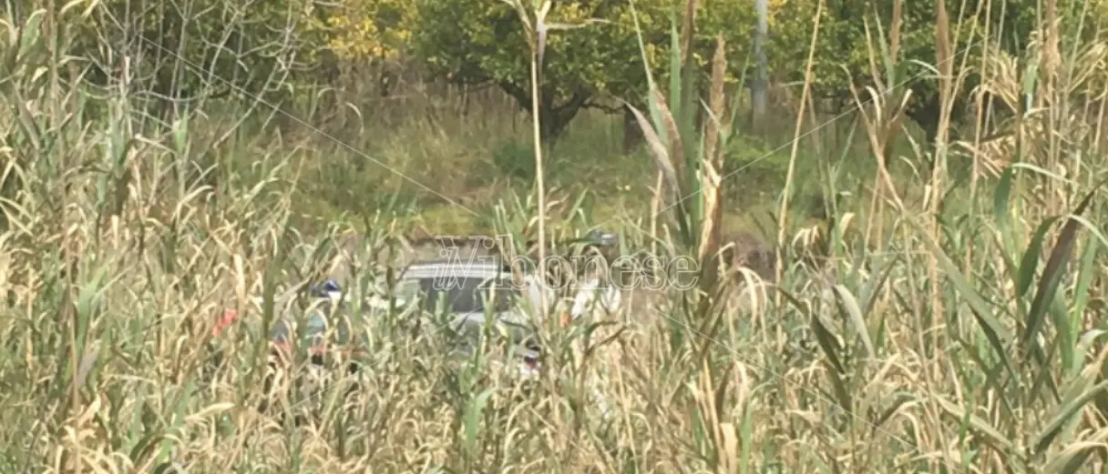 Ucciso nelle campagne del Reggino mentre era a bordo di un van