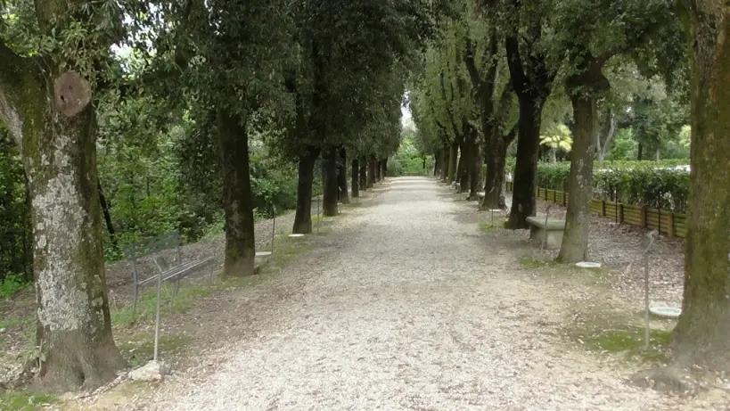 Vibo, il Comune avvia l'iter per la gestione del Parco delle Rimembranze