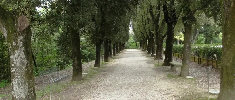 Vibo, il Comune avvia l'iter per la gestione del Parco delle Rimembranze