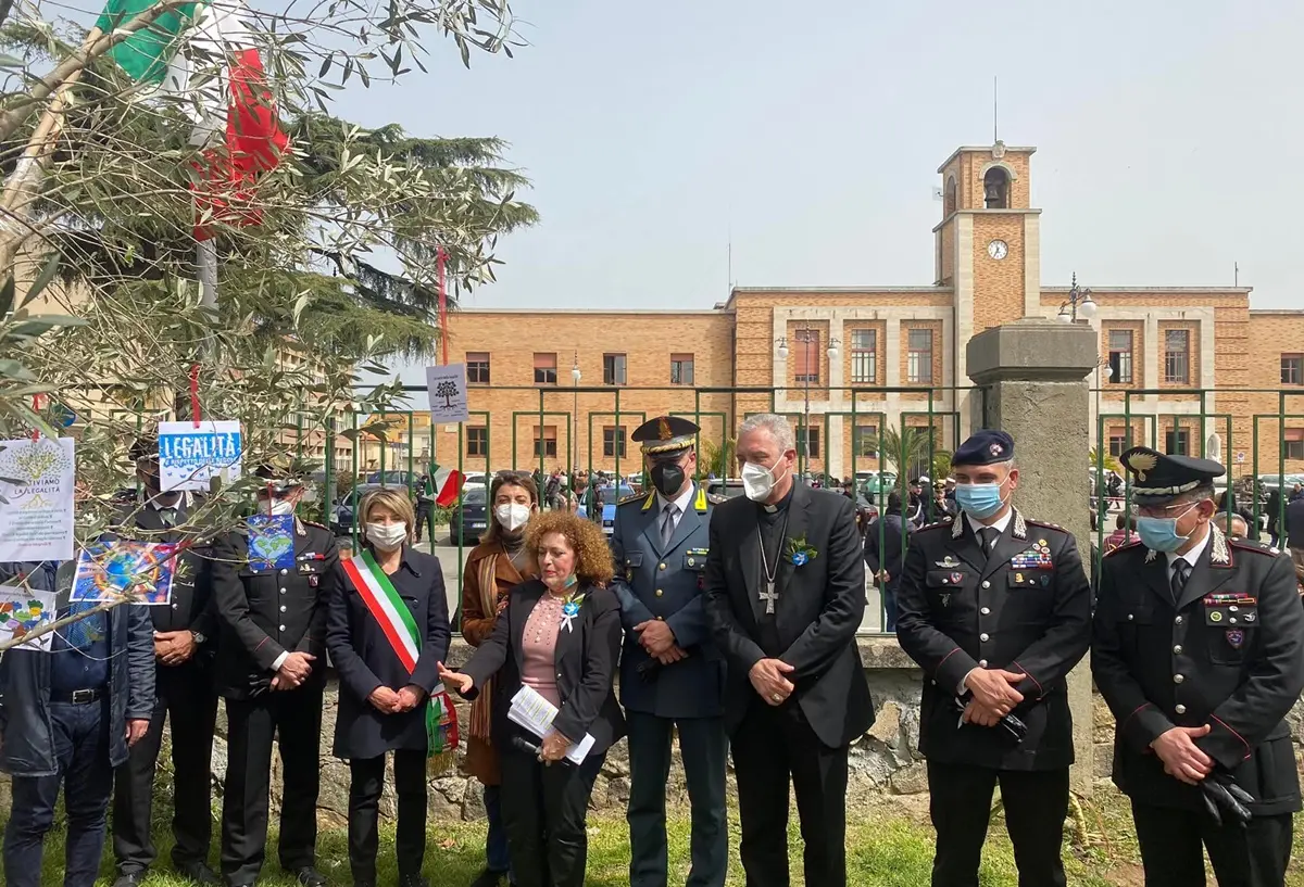 Vibo, alla scuola Don Bosco ripiantato l'albero della legalità - Foto