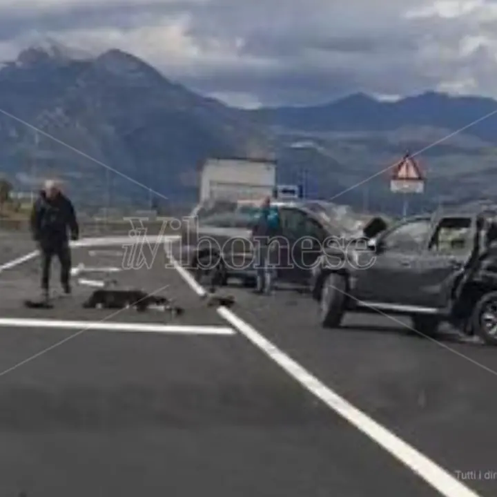Tragico incidente sulla statale 106 nel Cosentino: due morti