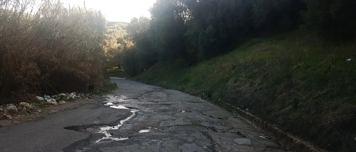 Strade vibonesi nel degrado, Cisal: «Servono pulizia e manutenzione, s’investa sulla viabilità»