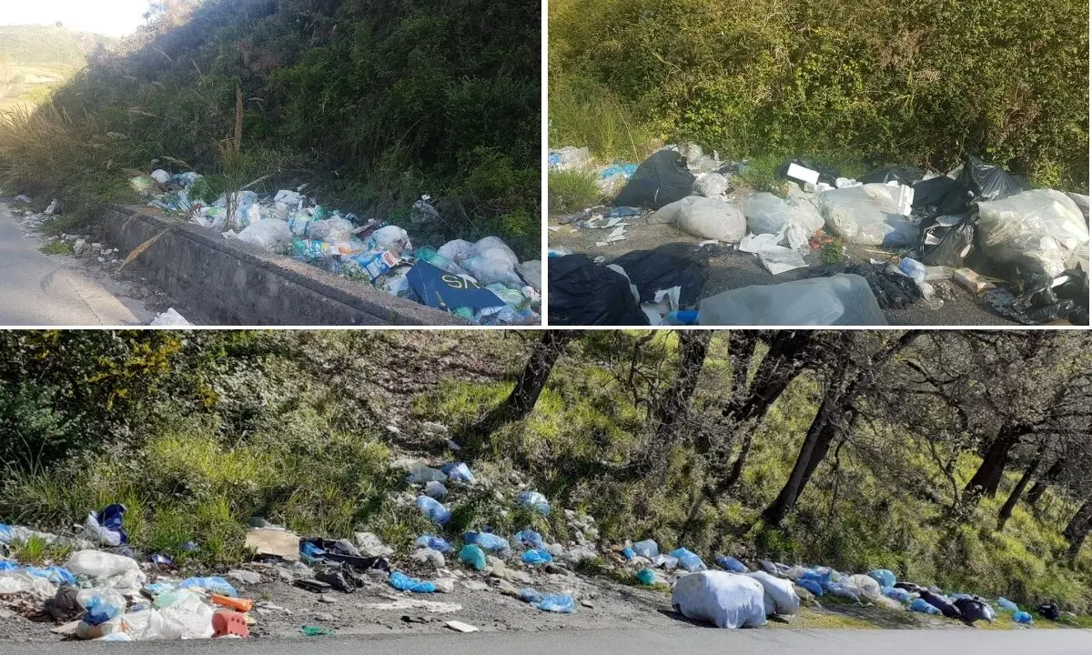 Montagne di rifiuti, voragini e degrado: viaggio da incubo lungo le strade del Vibonese - Foto