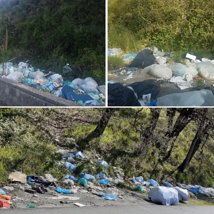 Montagne di rifiuti, voragini e degrado: viaggio da incubo lungo le strade del Vibonese - Foto