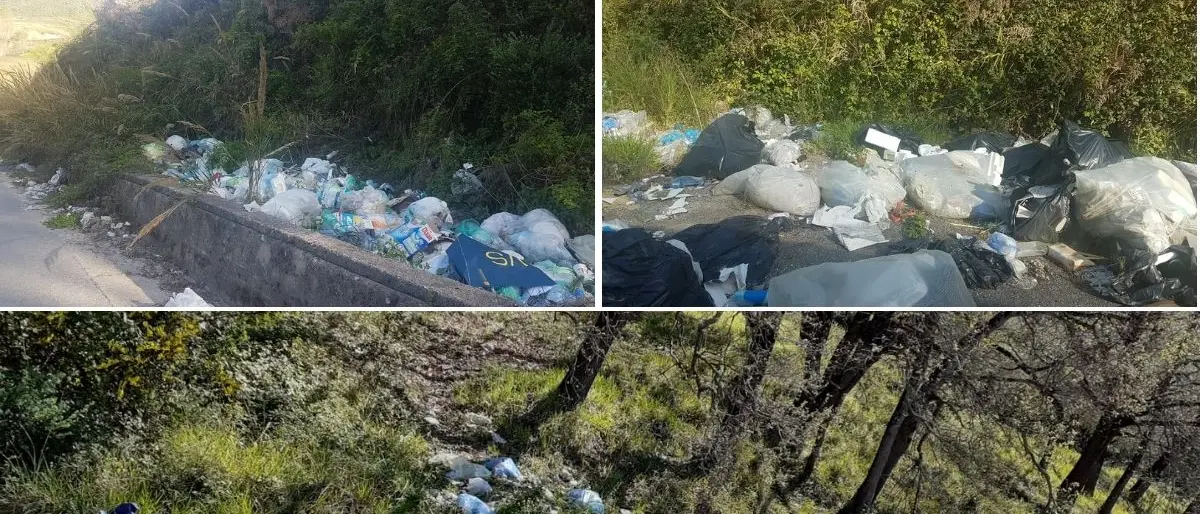 Montagne di rifiuti, voragini e degrado: viaggio da incubo lungo le strade del Vibonese - Foto