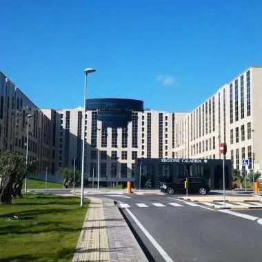 Regione e ambiente: vertice per non pregiudicare l'Arpacal di Vibo