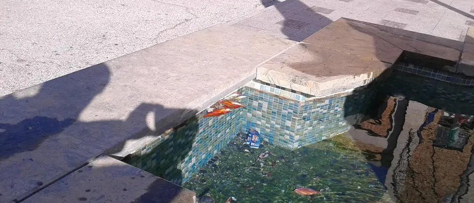 Vibo Valentia, degrado e abbandono per la vasca di piazza Municipio (FOTO)