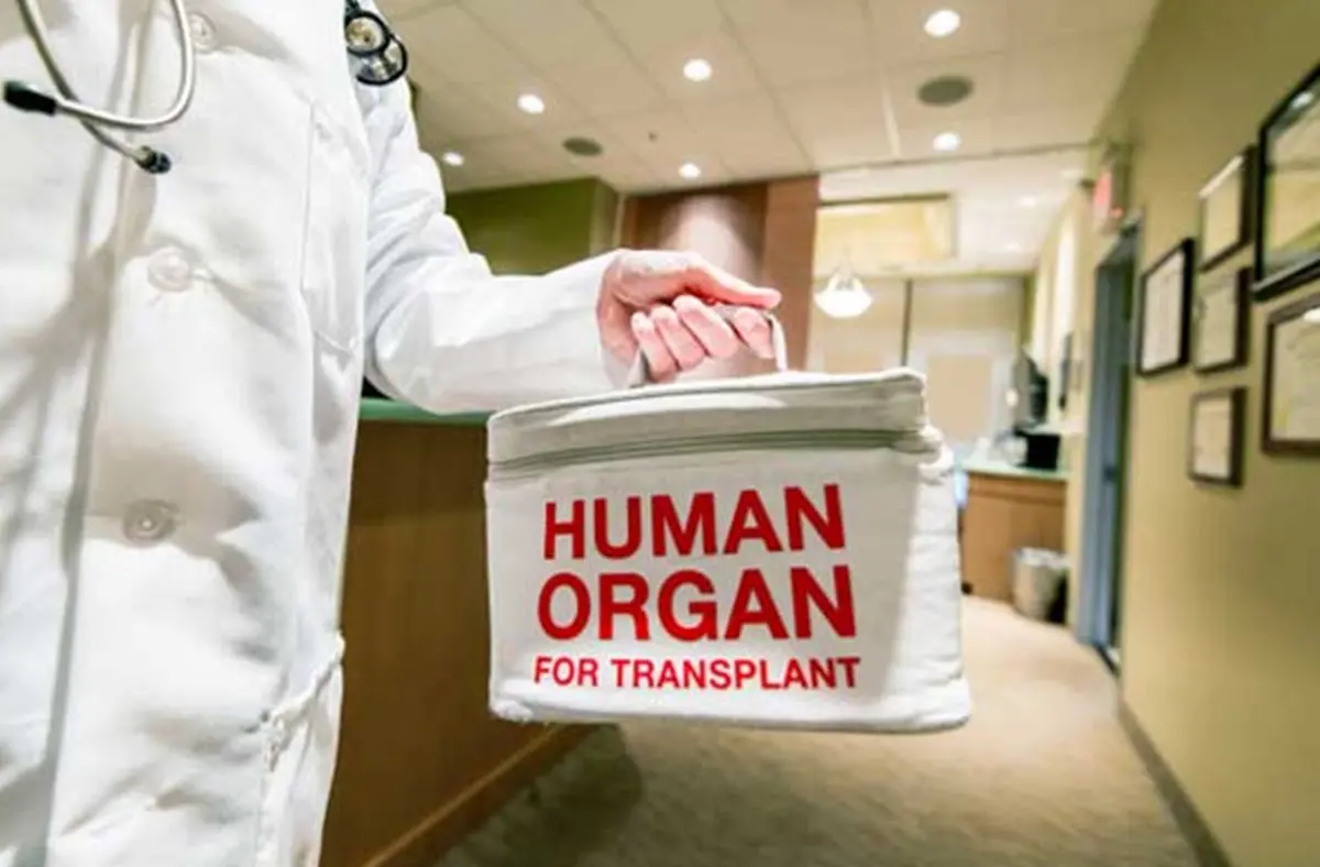 Trapianti, il Vibonese prima provincia in Calabria per donazioni