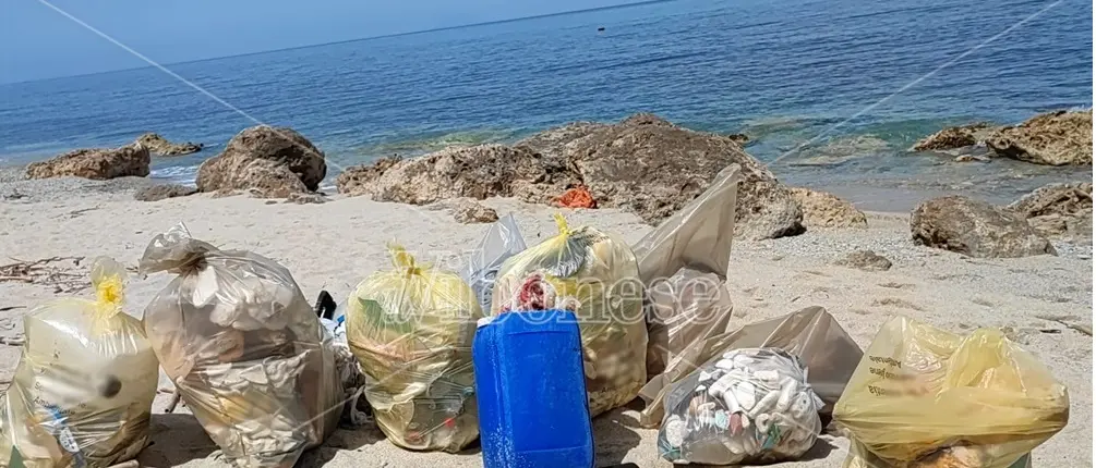 Santa Domenica, la spiaggia della Scalea ripulita da 80 chili di plastica dai volontari di Plastic free