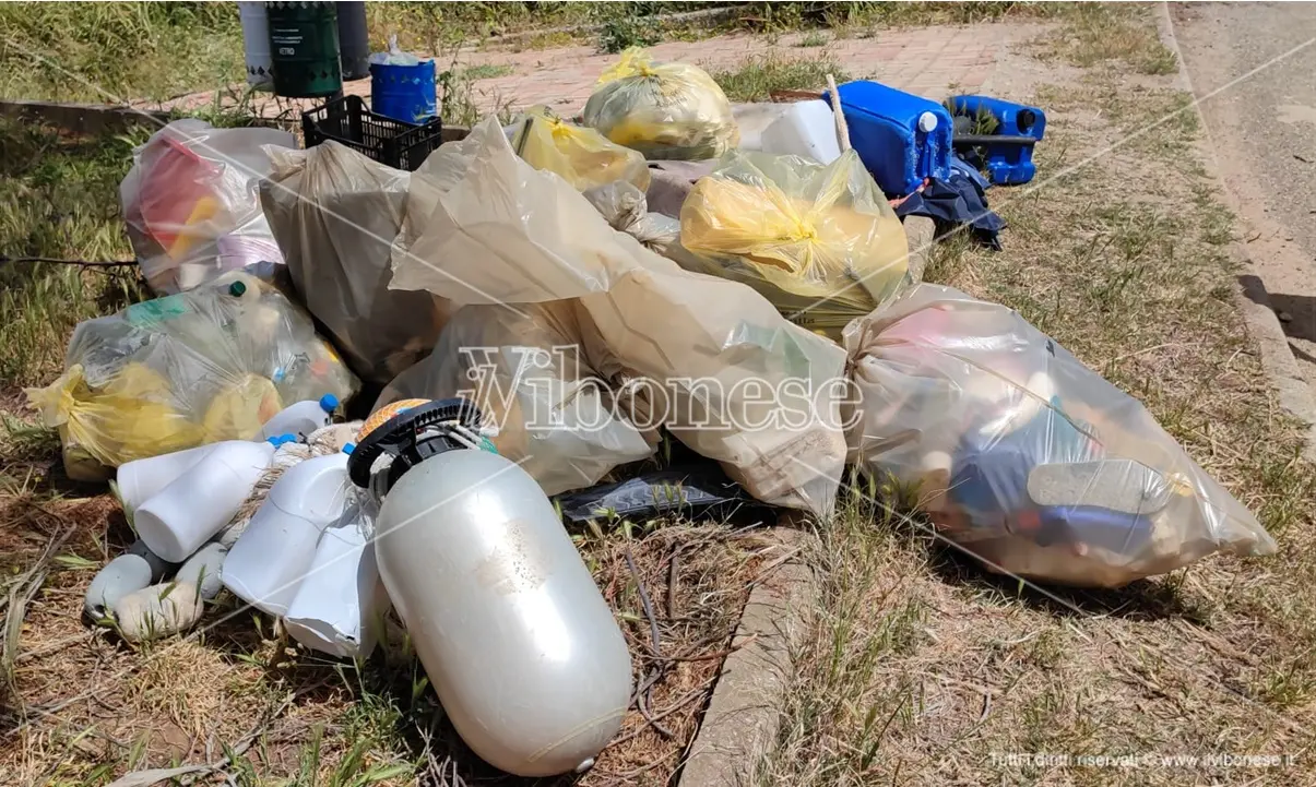 Plastic free, per la data nazionale coinvolti 247 comuni: ce ne sono anche 3 vibonesi