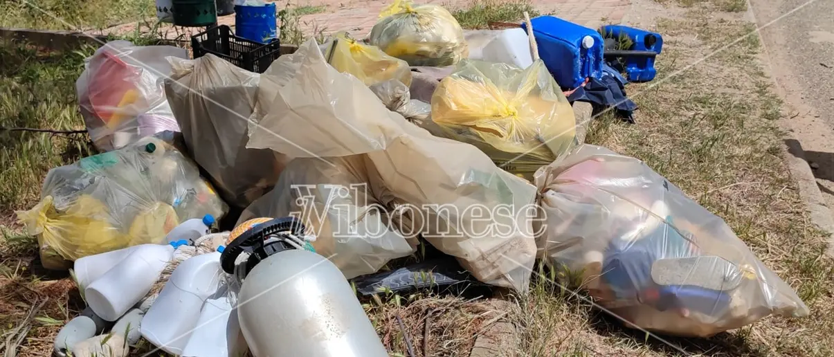 Plastic free, per la data nazionale coinvolti 247 comuni: ce ne sono anche 3 vibonesi