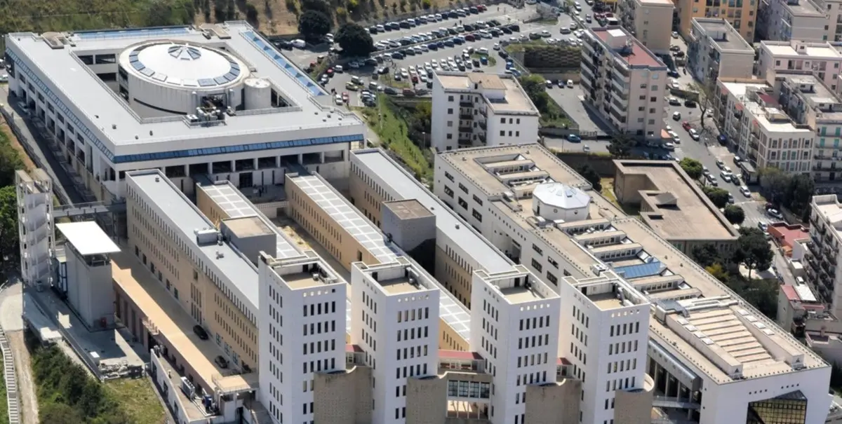 Concorso farsa per l’ex presidente Parco d’Aspromonte, il rettore: «Così ci arrestano»