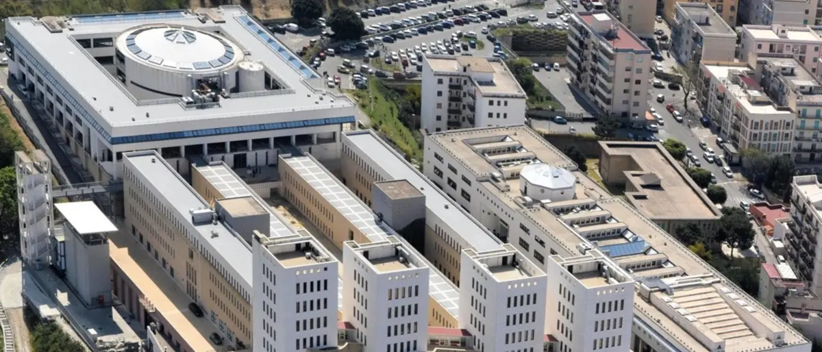 Concorso farsa per l’ex presidente Parco d’Aspromonte, il rettore: «Così ci arrestano»