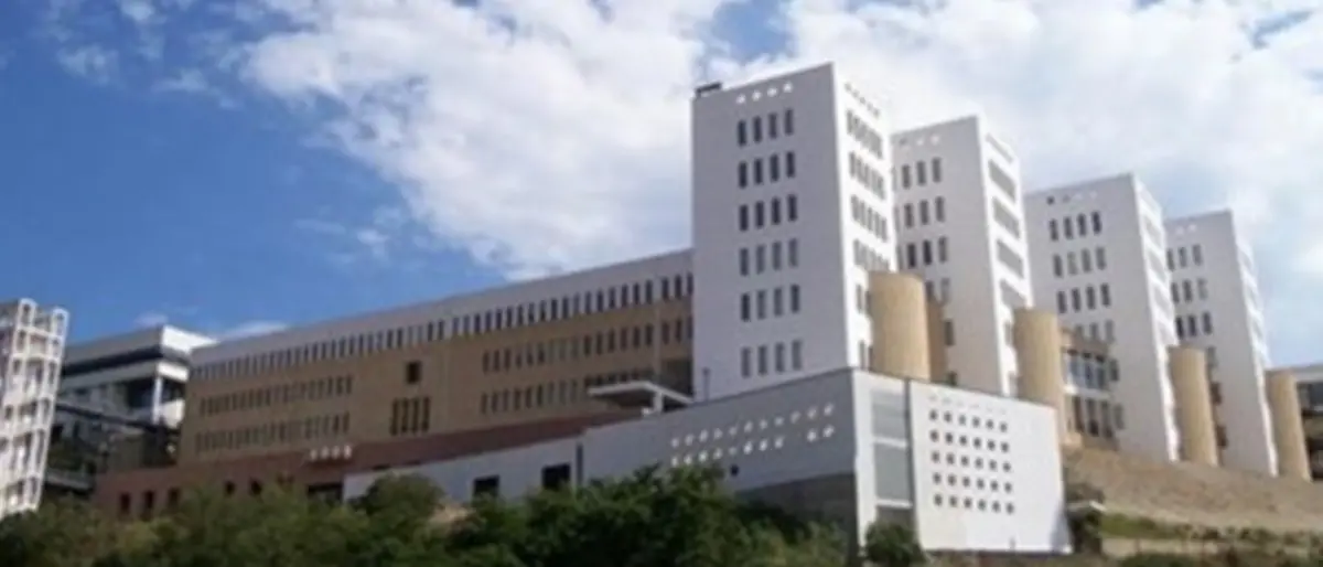 «Quella grandissima butt…», così il rettore di Reggio sulla ricercatrice che ha detto basta