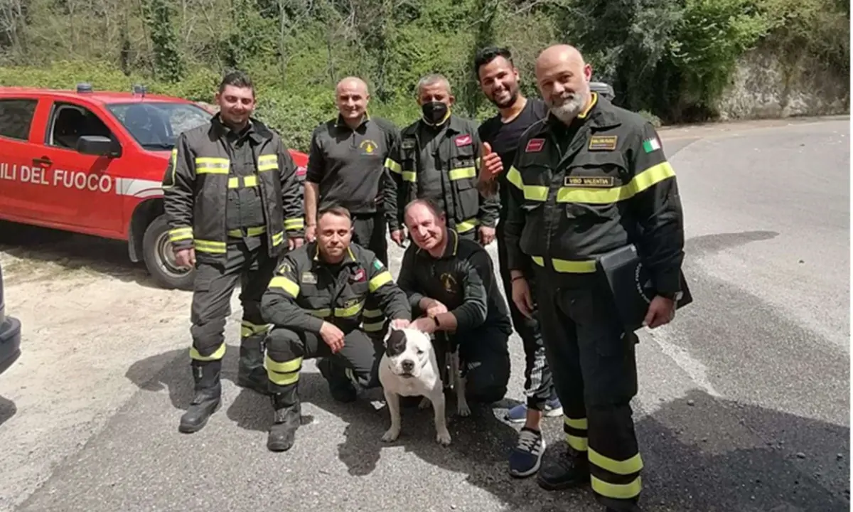 Cade in un dirupo insieme al suo cane, salvati dai vigili del fuoco di Vibo Valentia