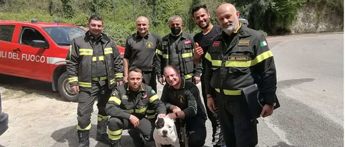 Cade in un dirupo insieme al suo cane, salvati dai vigili del fuoco di Vibo Valentia