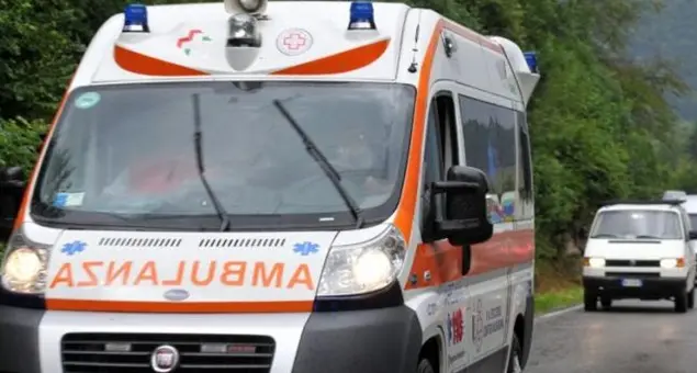 Il personale della Pet di Tiriolo trasferito per\u00A0coprire i turni a Catanzaro, il sindaco:\u00A0«Scelta discriminatoria e irresponsabile»\n