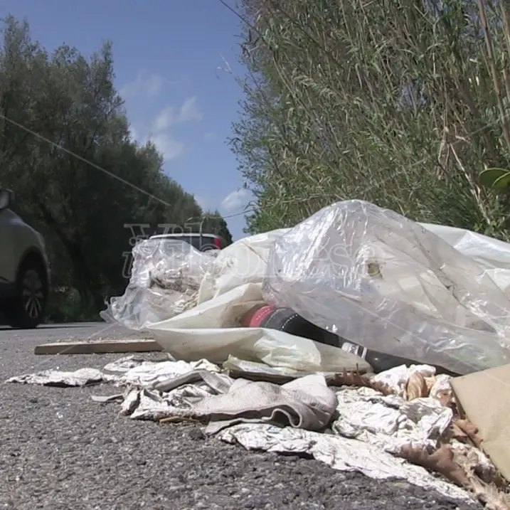 Un serpentone di immondizia conduce alla Costa degli dei: strade come discariche inghiottite dalle erbacce -Video