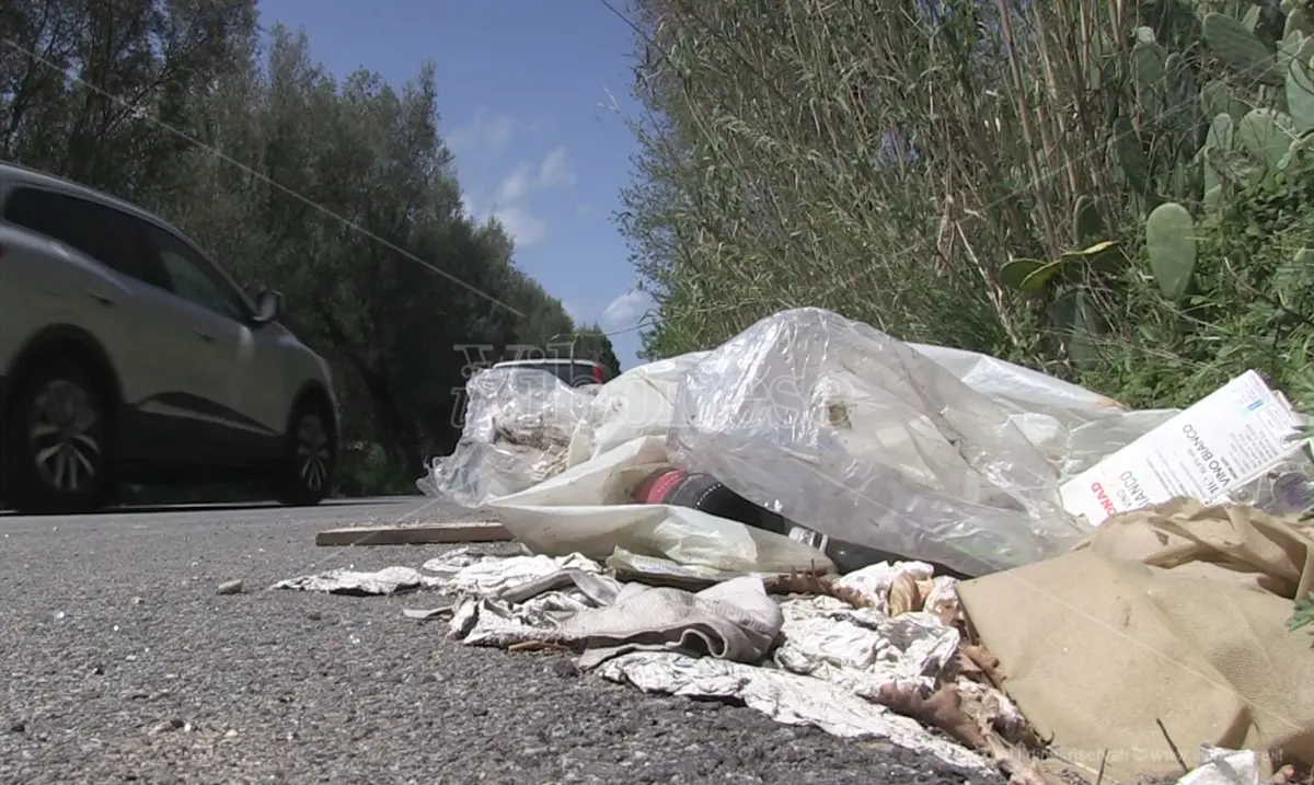 Un serpentone di immondizia conduce alla Costa degli dei: strade come discariche inghiottite dalle erbacce -Video