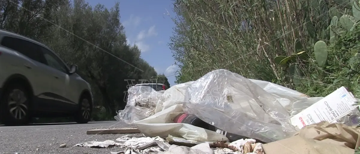 Un serpentone di immondizia conduce alla Costa degli dei: strade come discariche inghiottite dalle erbacce -Video