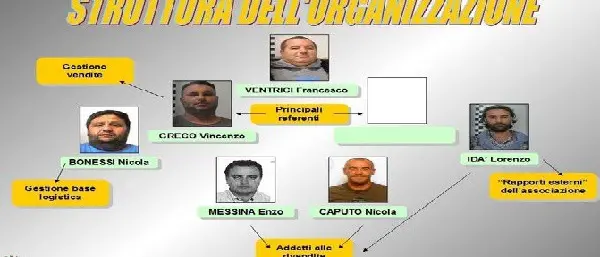 Narcotraffico internazionale: inchiesta “Pigna d’oro”, vibonesi condannati a Bologna